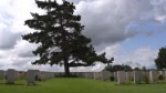 [REPORTAGE VIDEO] Les coolies, une communauté oubliée de la Grande Guerre